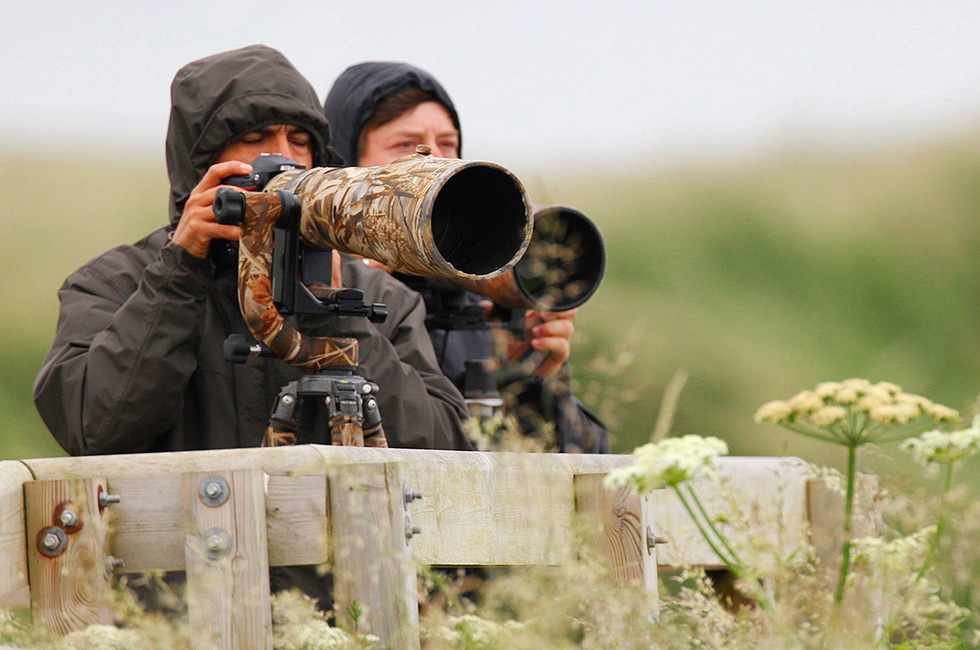 Bempton Cliffs